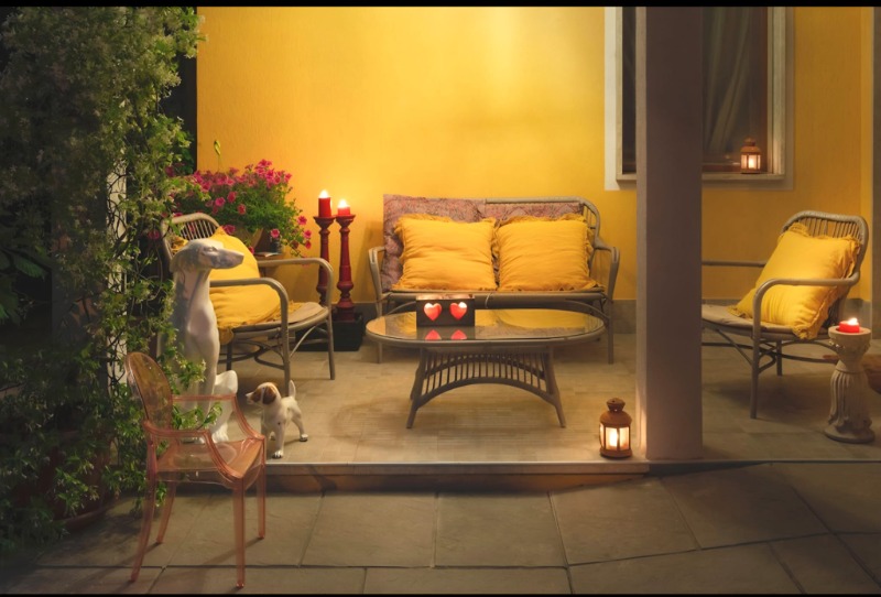 Immagine dell'annuncio 2025_113