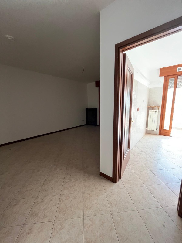 Immagine dell'annuncio 2025_126