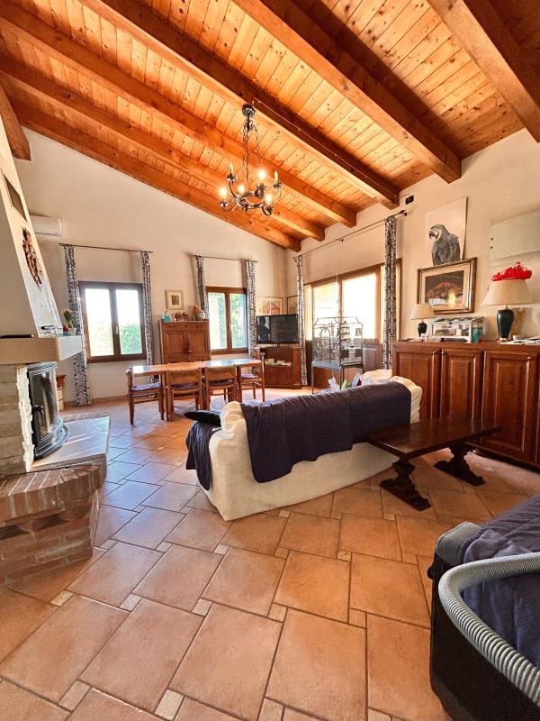 Immagine dell'annuncio 2010_339